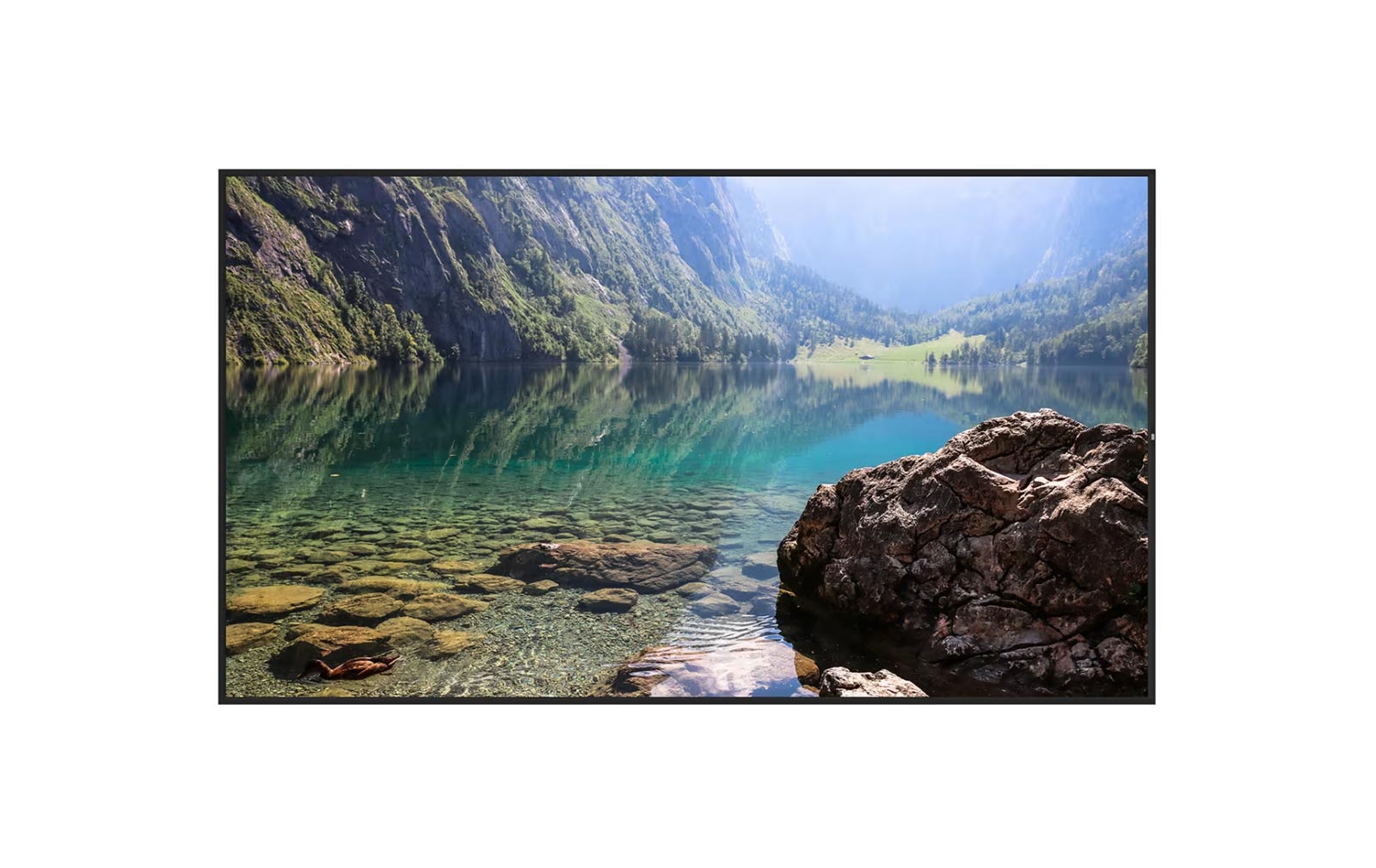 Hisense 55WH80F - 55" 4K UHD Signage Display - Image 7