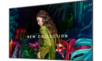 Samsung QB75C – 75“ Crystal UHD Smart Signage - Image 4