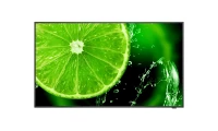 NEC MultiSync (E-Serie) - 32" Essential Signage Display E328-2