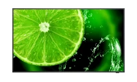 NEC MultiSync (E-Serie) - 65" Essential Signage Display E658