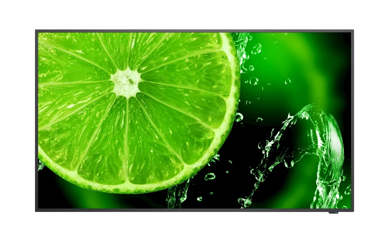 NEC MultiSync (E-Serie) - 65" Essential Signage Display E658